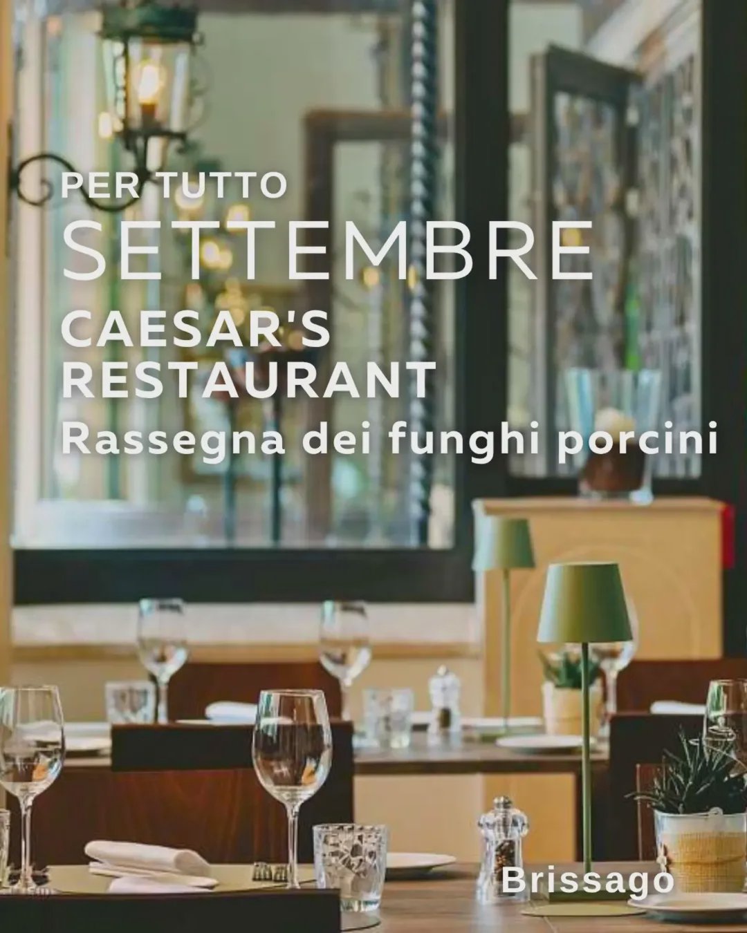 Rassegna dei funghi porcini – 26/09/2026, foto 6
