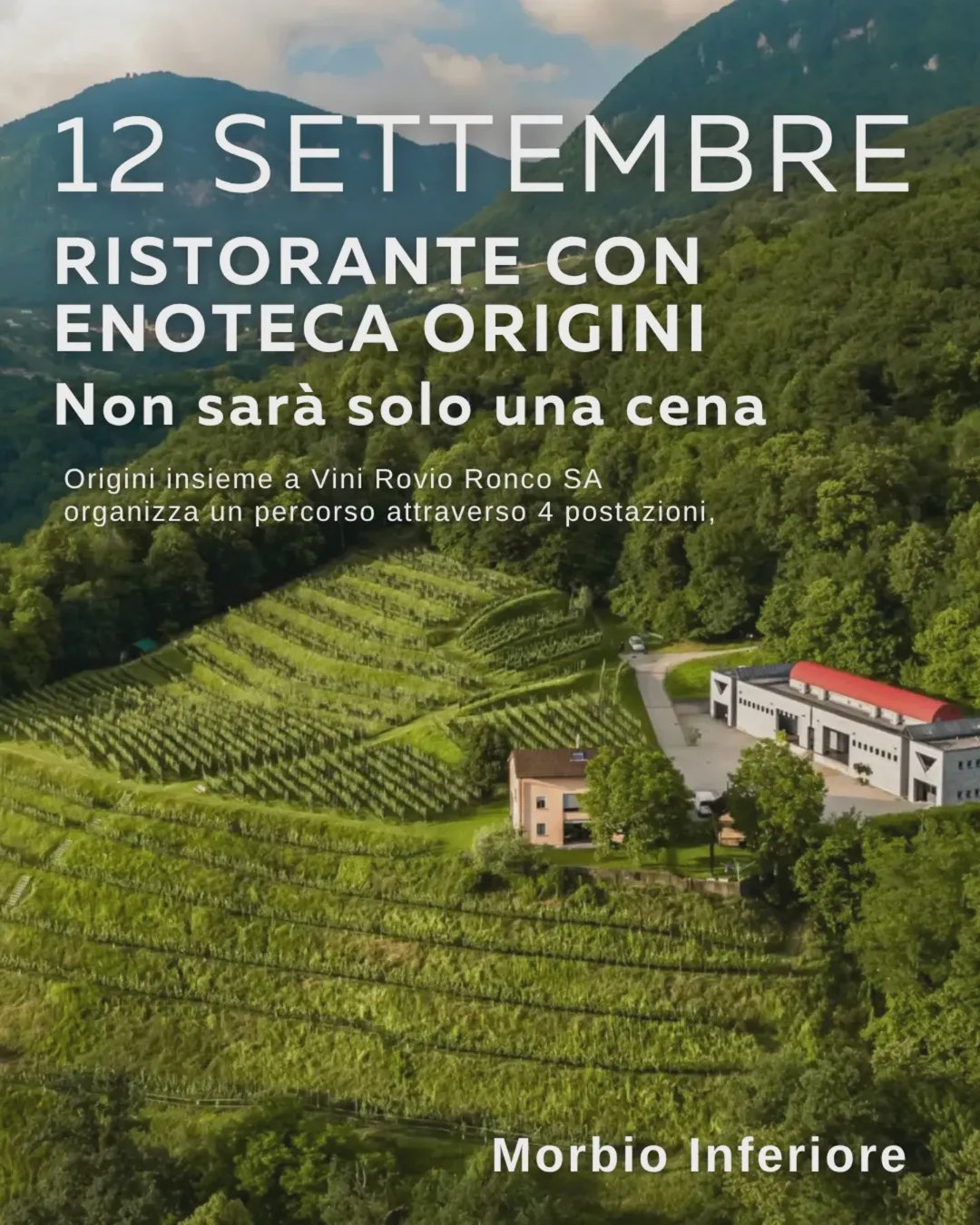 Rassegna dei funghi porcini – 30/09/2026, foto 5