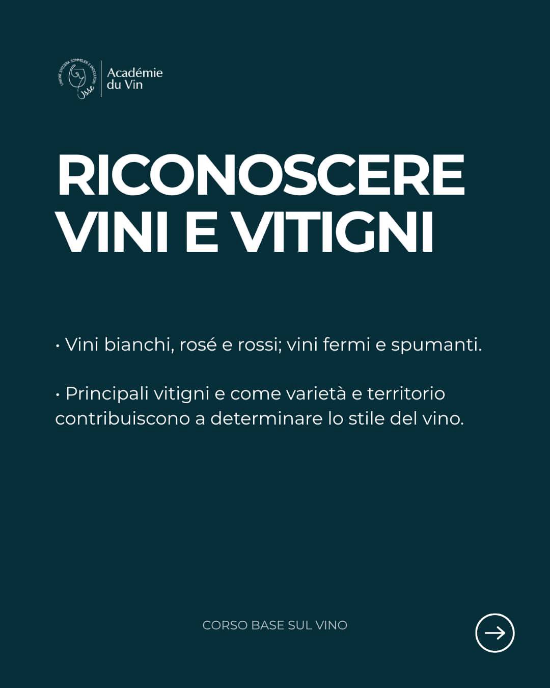 Corso base sul vino — Bellinzona – 25/11/2026, foto 5