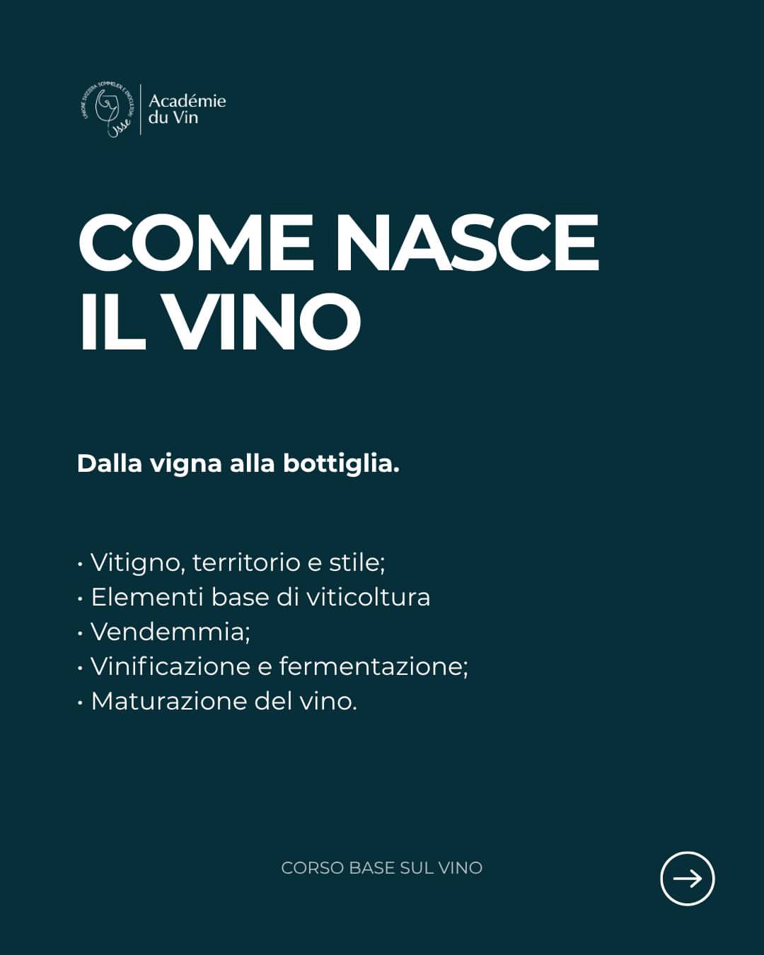 Corso base sul vino — Lugano – 30/09/2026, foto 4