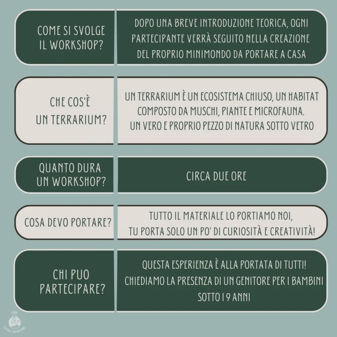 Workshop "Crea il tuo minimondo", foto 3